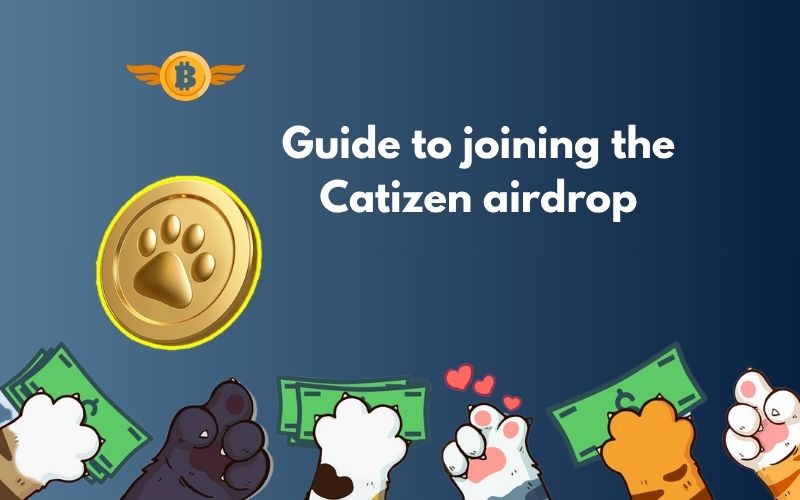 Catizen airdrop